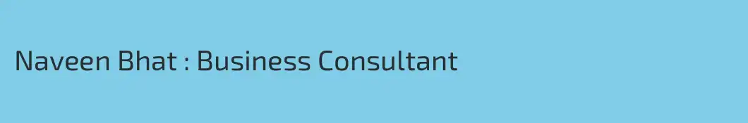 Naveen Bhat : Business Consultant
